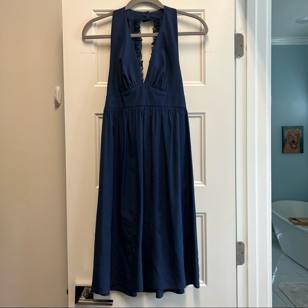 Amanda Uprichard raw silk dress
